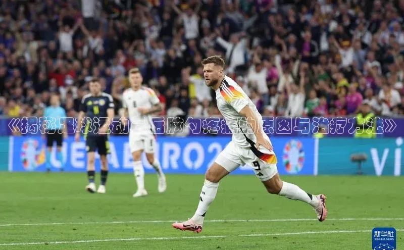 熊猫体育在线直播免费雷柏科技