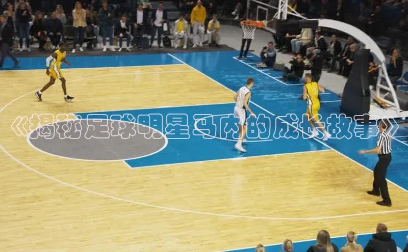 熊猫体育app下载安装汉得信息