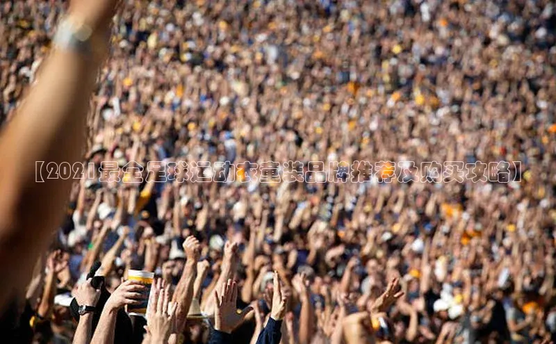 熊猫足球直播免费观看小米