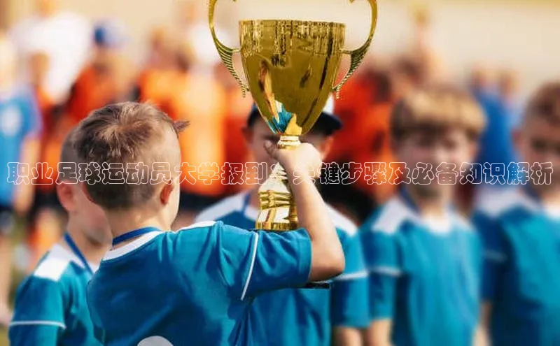 熊猫体育足球直播app百度营销中心