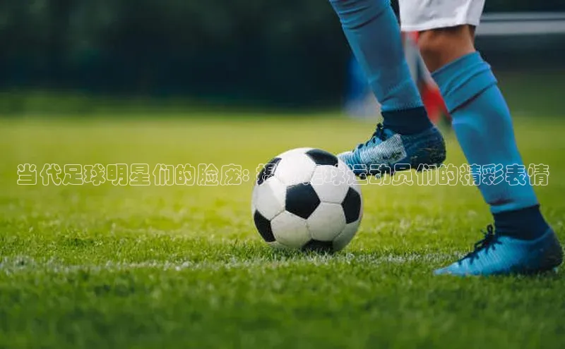 熊猫体育app安装入口京东