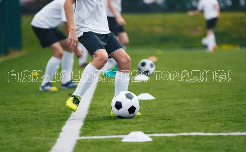 熊猫体育app下载百度搜索资源平台