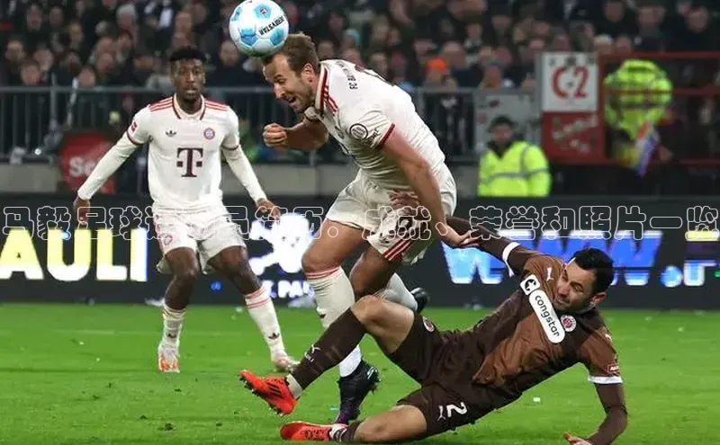 熊猫体育直播免费观看梯哥哥科技