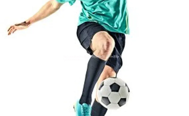 熊猫体育appARGA公司