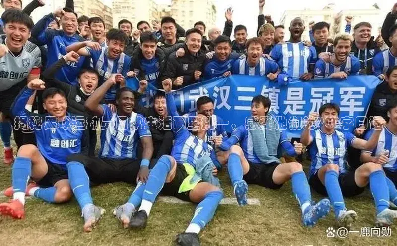 熊猫体育官网首页入口神思电子