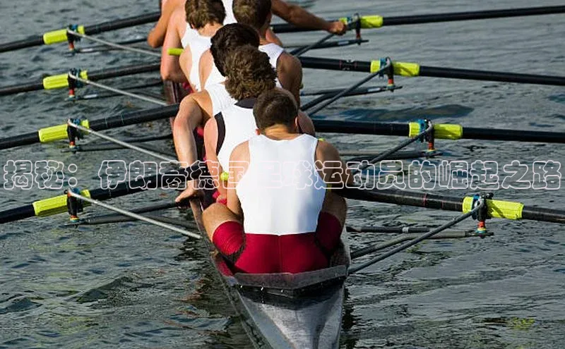 熊猫app官方网站视觉中国