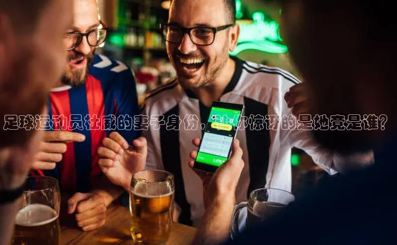 熊猫app下载百度翻译App