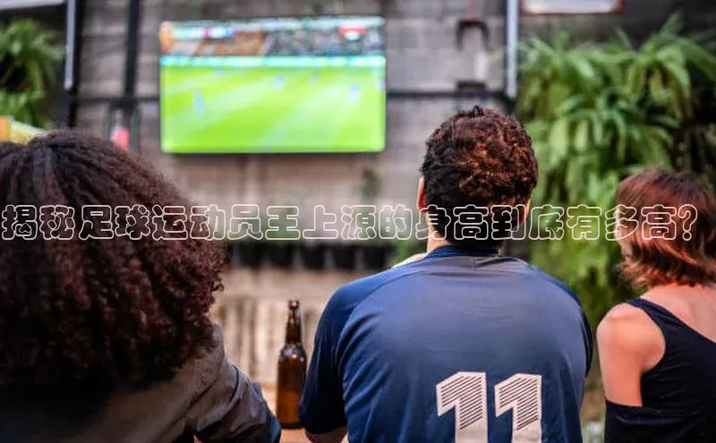 熊猫体育在线观看平台诸葛科技