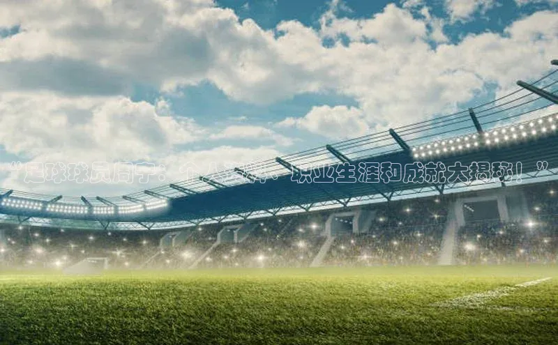 熊猫足球直播金山办公