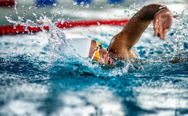 熊猫体育在线直播免费百度众测