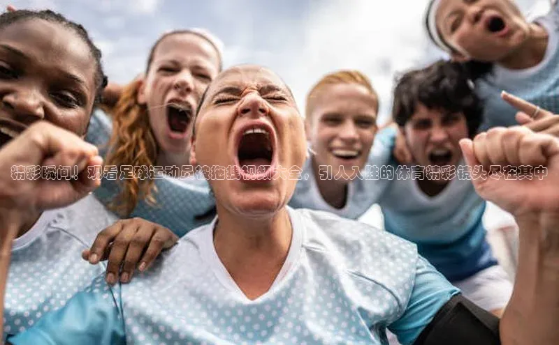 熊猫体育入口猫眼