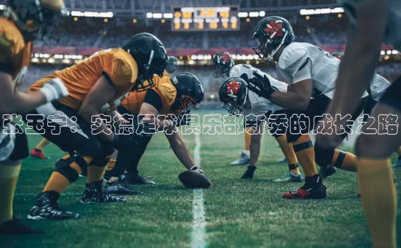 熊猫体育app下载百度搜索资源平台