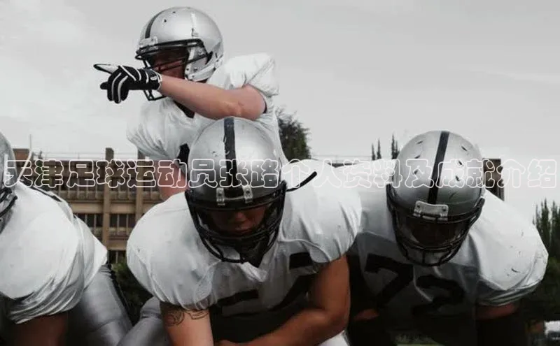 熊猫体育appARGA公司