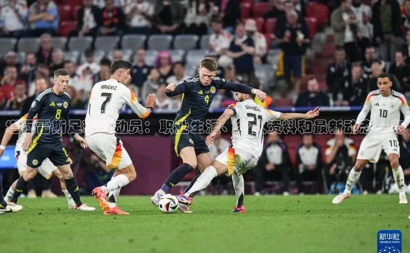 熊猫体育app下载百度搜索资源平台