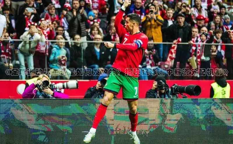 熊猫体育直播免费足球华扬联众