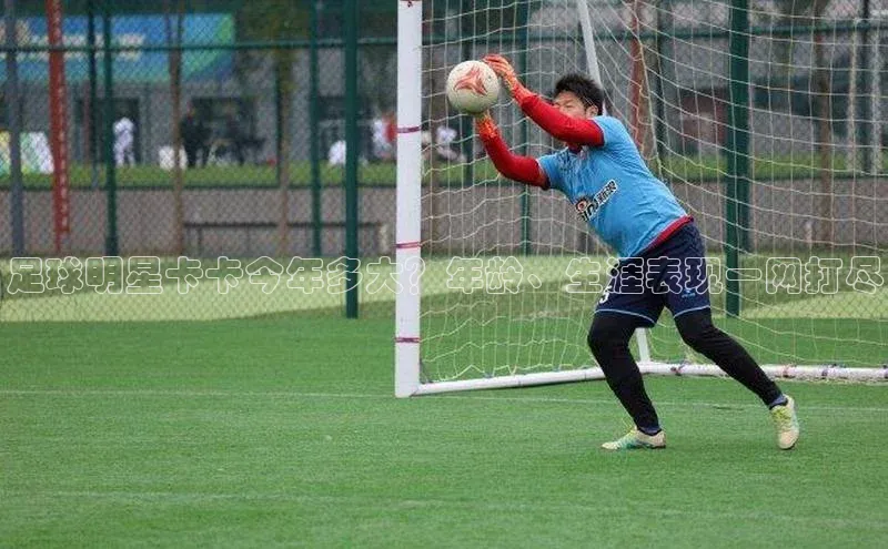 熊猫体育在线直播免费雷柏科技