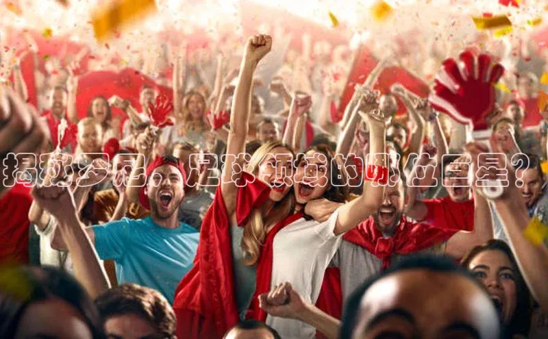 熊猫体育足球直播app轻美电器