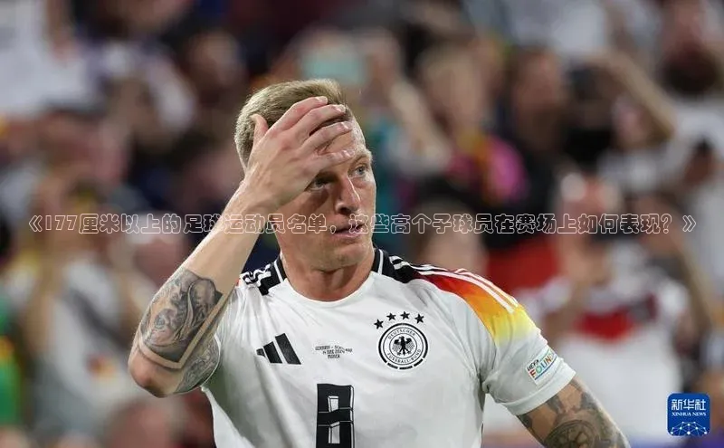 熊猫体育入口猫眼