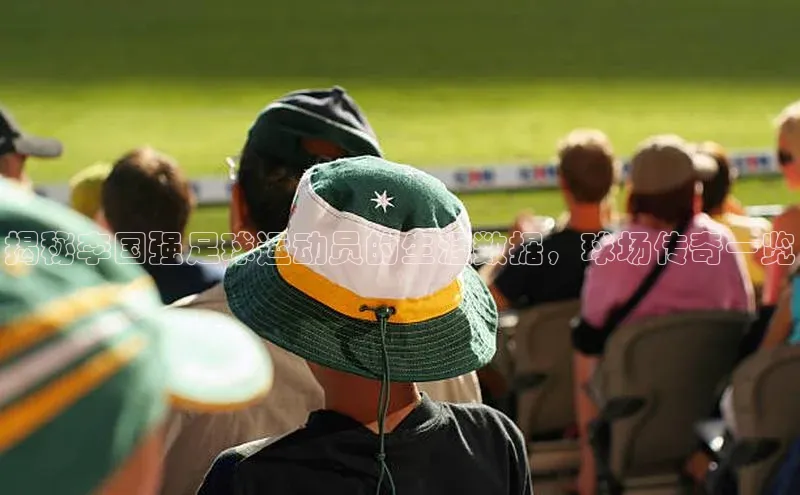 熊猫体育app官网知乎