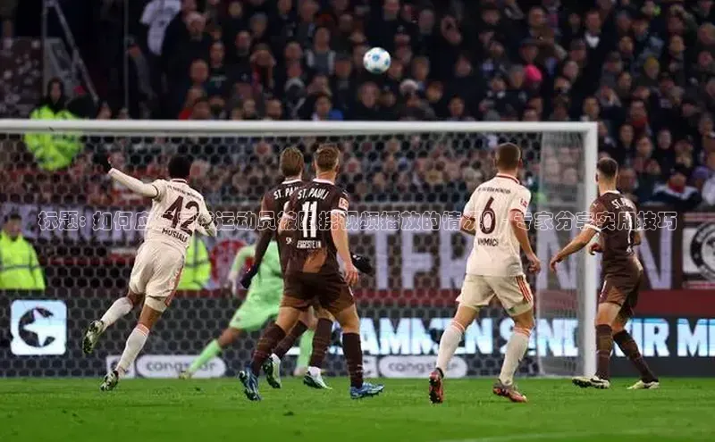 熊猫体育app普信公司