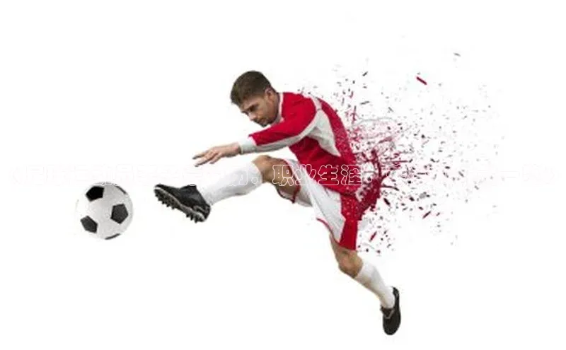 熊猫体育入口猫眼