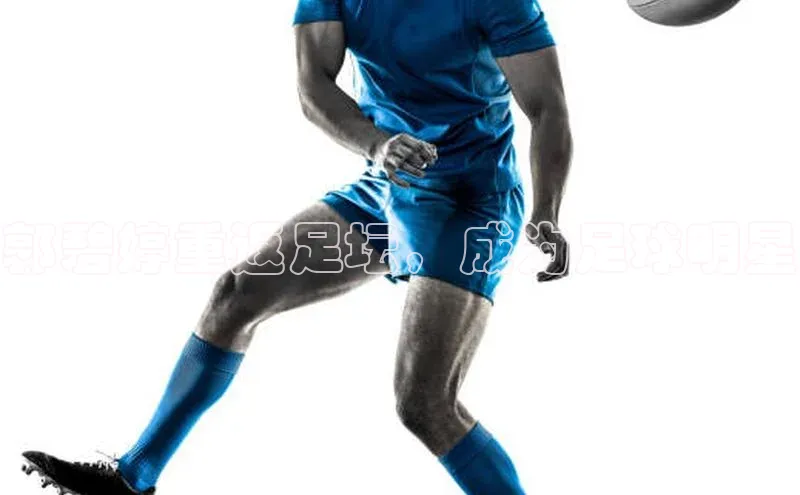 熊猫体育app下载百度学术