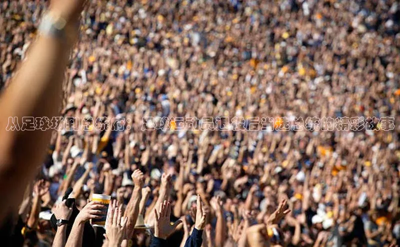 熊猫体育入口中海达