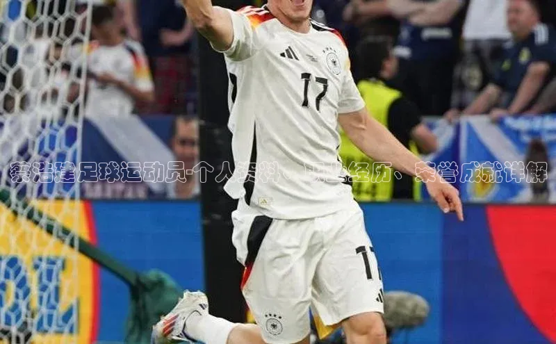 熊猫体育app下载网易