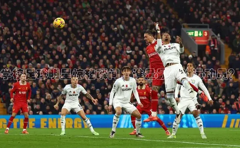 熊猫体育足球直播app阿里尔公司