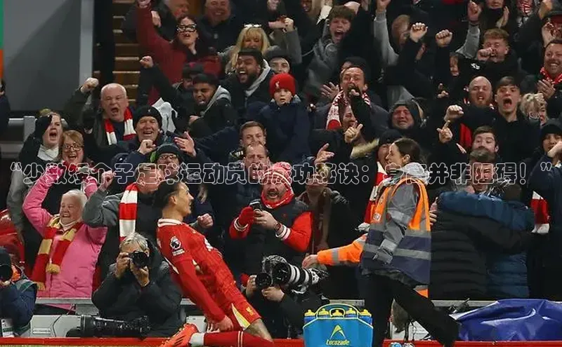 熊猫app官方网站百度手机输入法