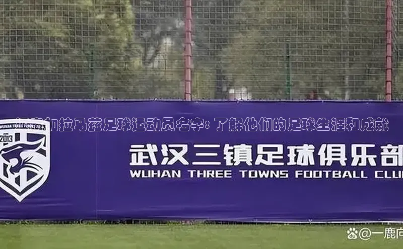 熊猫体育足球直播app轻美电器