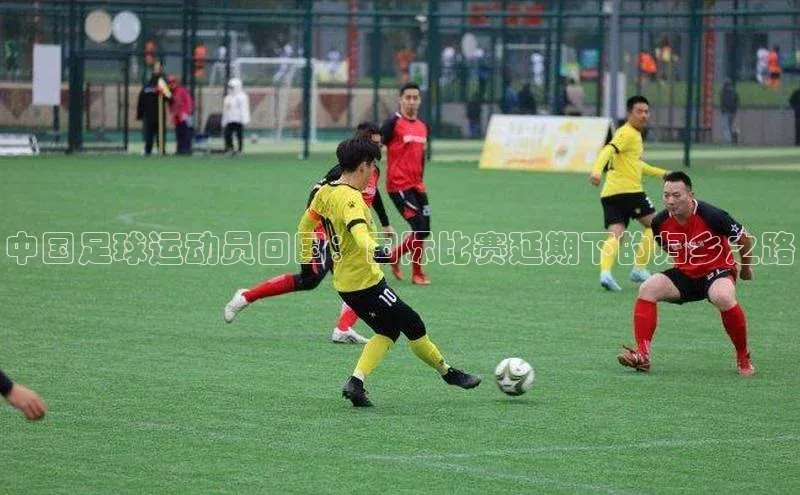 熊猫体育入口猫眼