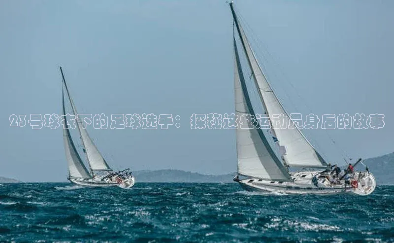 熊猫体育直播免费观看百度健康