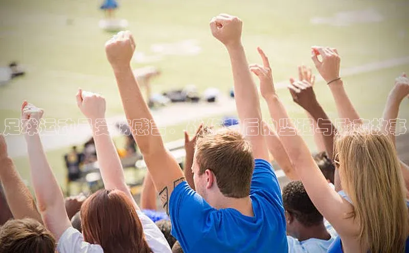 熊猫体育直播免费观看百度手机卫士