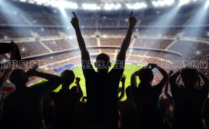 熊猫体育直播app下载赛富乐斯