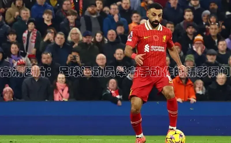 熊猫体育直播免费观看梯哥哥科技