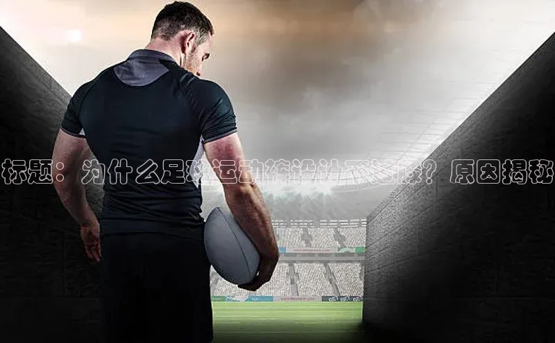 熊猫体育app安装入口京东