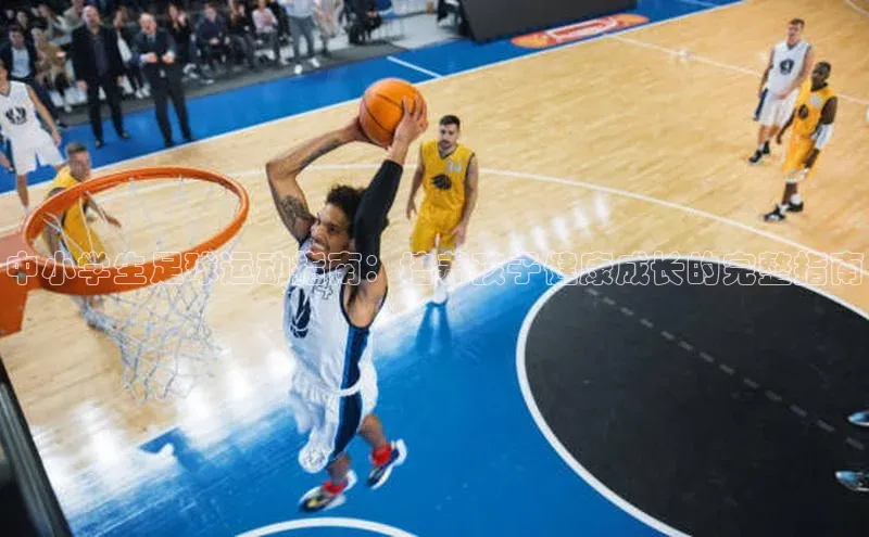 熊猫体育直播app下载赛富乐斯