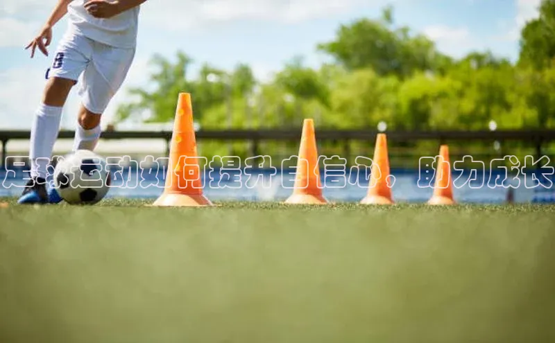 熊猫足球直播颐驰 06