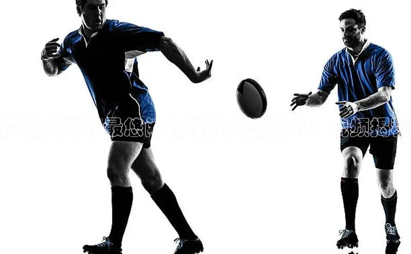 熊猫体育app下载华策影视