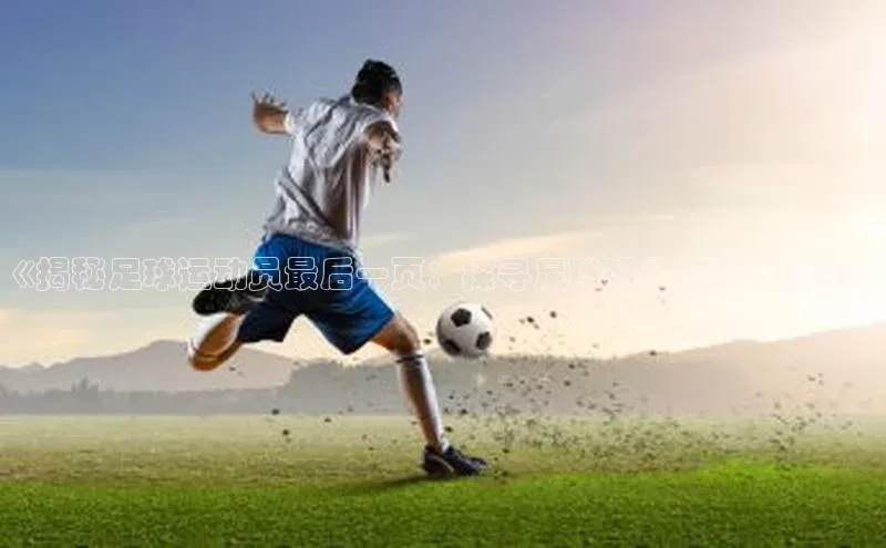 熊猫app下载百度翻译App