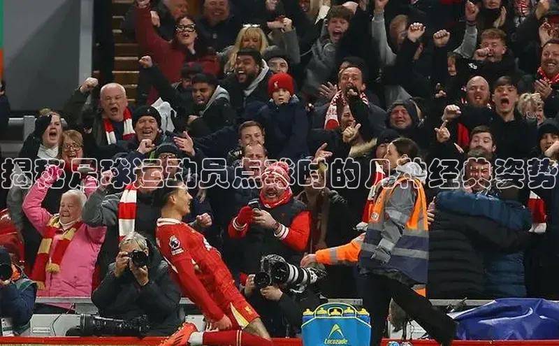 熊猫体育直播免费足球华扬联众