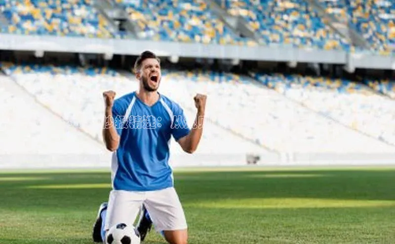 熊猫体育手机版下载极氪智能科技