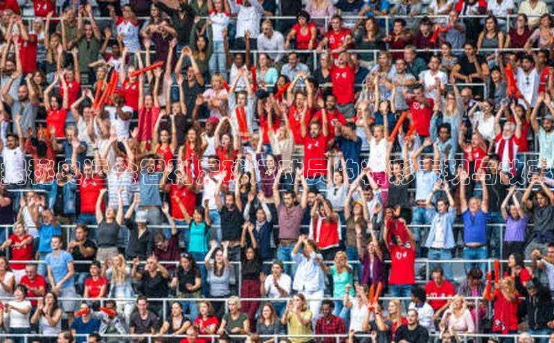 熊猫体育app百度手机助手