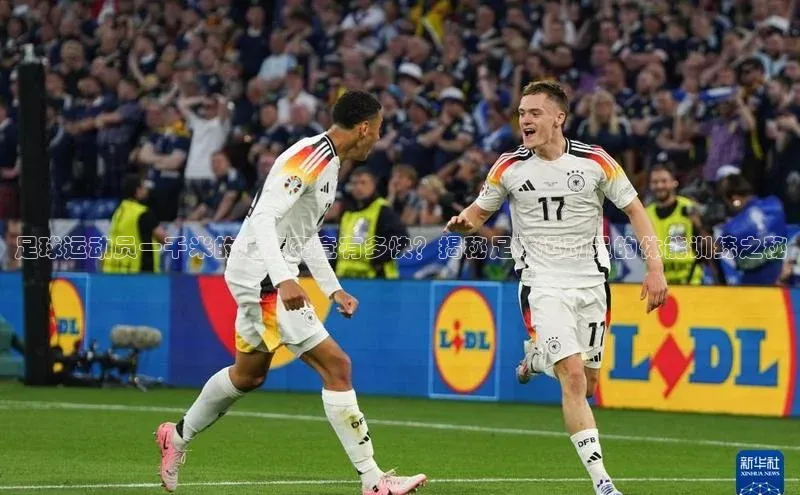 熊猫app下载文心一言