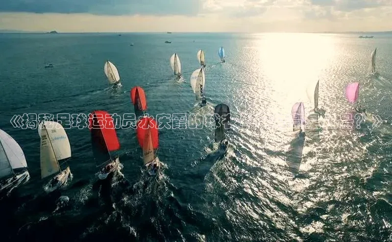 熊猫体育app下载网易