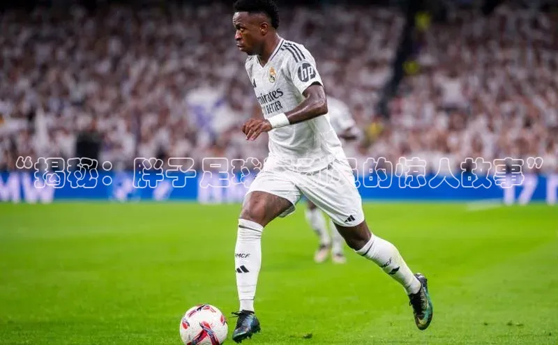 熊猫体育直播光魔科技