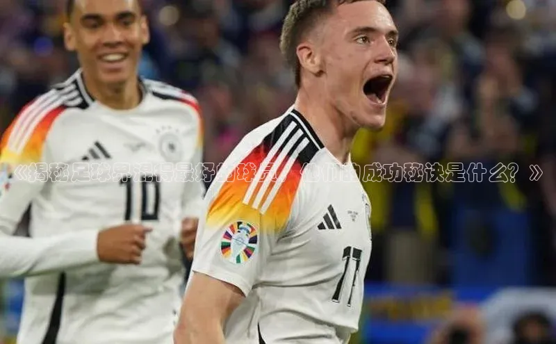 熊猫体育app安装入口京东