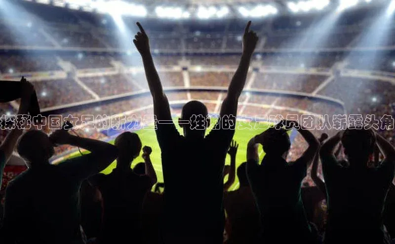 熊猫体育入口百度信誉