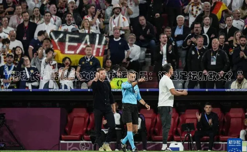 熊猫体育直播app下载赛富乐斯